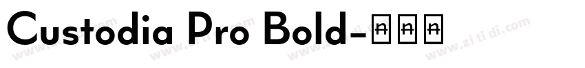 Custodia Pro Bold字体转换
